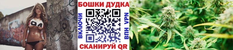 Где купить наркоту Новоалександровск АМФ Бошки Шишки СК Мефедрон ГАШ