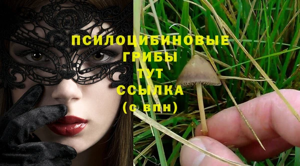 спиды Новозыбков