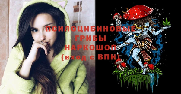 индика Армянск