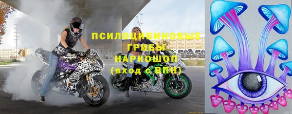 индика Армянск