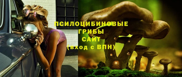 индика Армянск