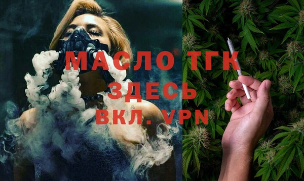 индика Армянск