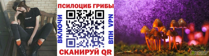 Галлюциногенные грибы мухоморы  OMG   Новоалександровск 